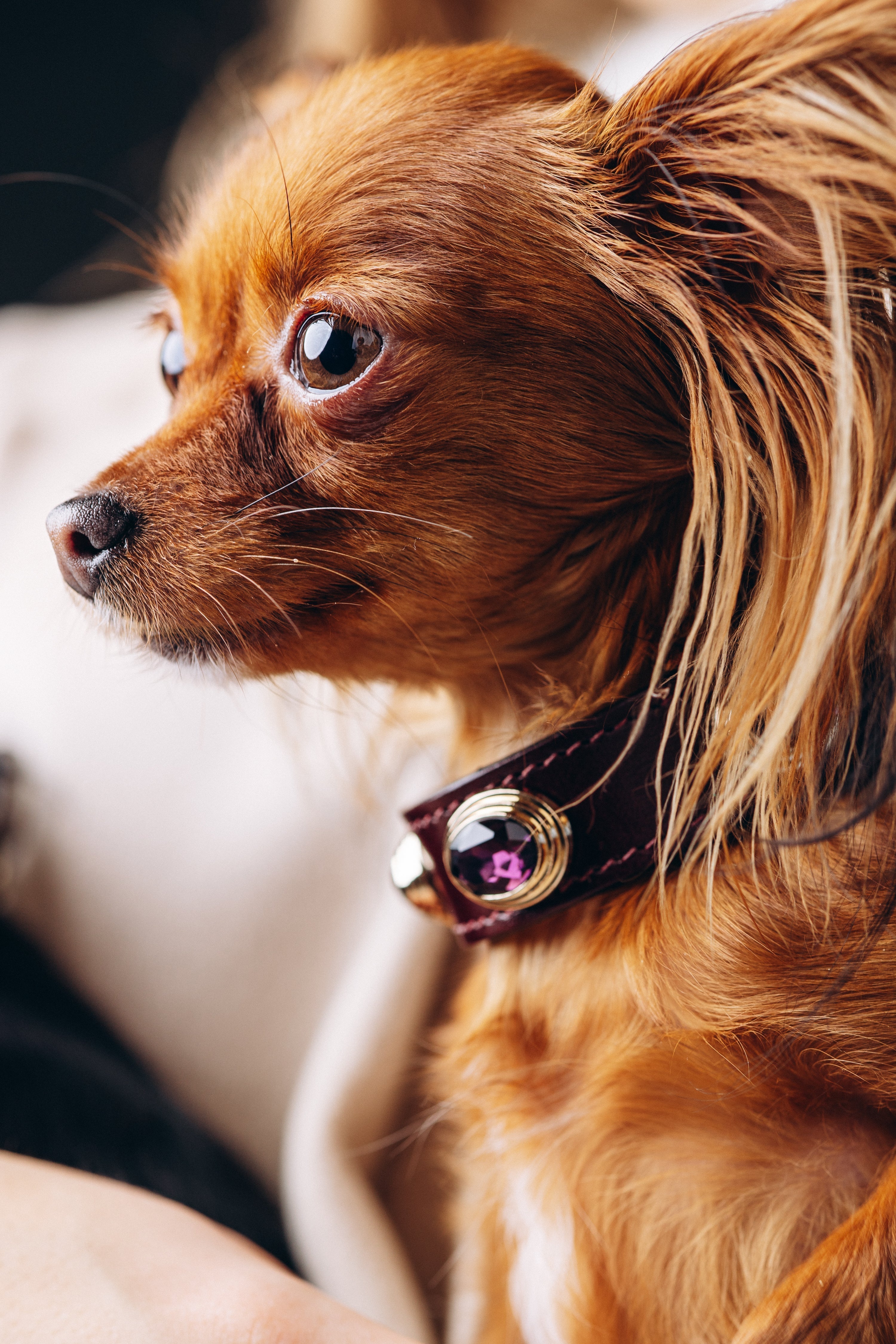 Абсолютна любов: та, що не потребує умов