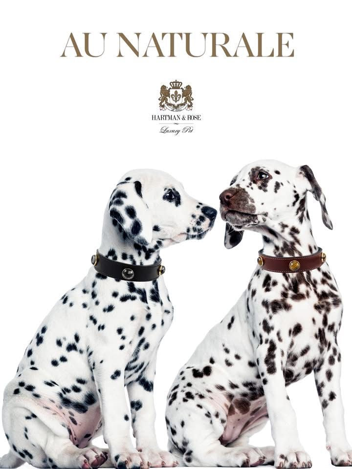 Hartman & Rose Luxury Collection