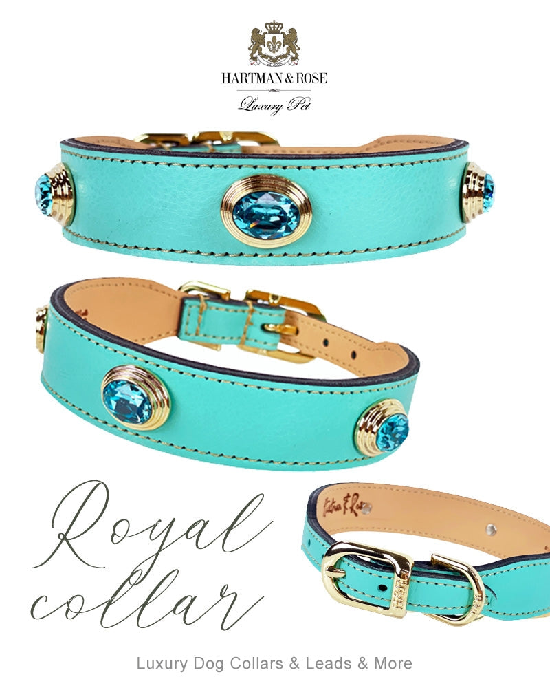 Royal collection • Turquoise & Gold
