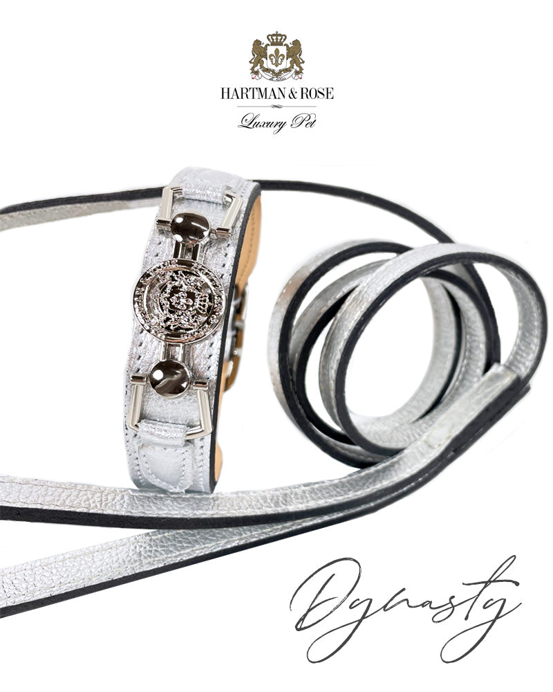 Dynasty collection • Metallic Silver & Nickel
