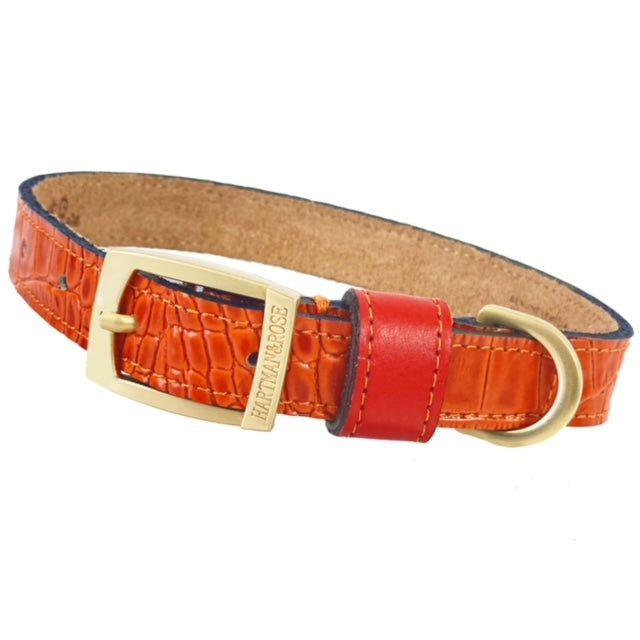 Cayman collection in Tangerine Нашийник Hartman & Rose luxury