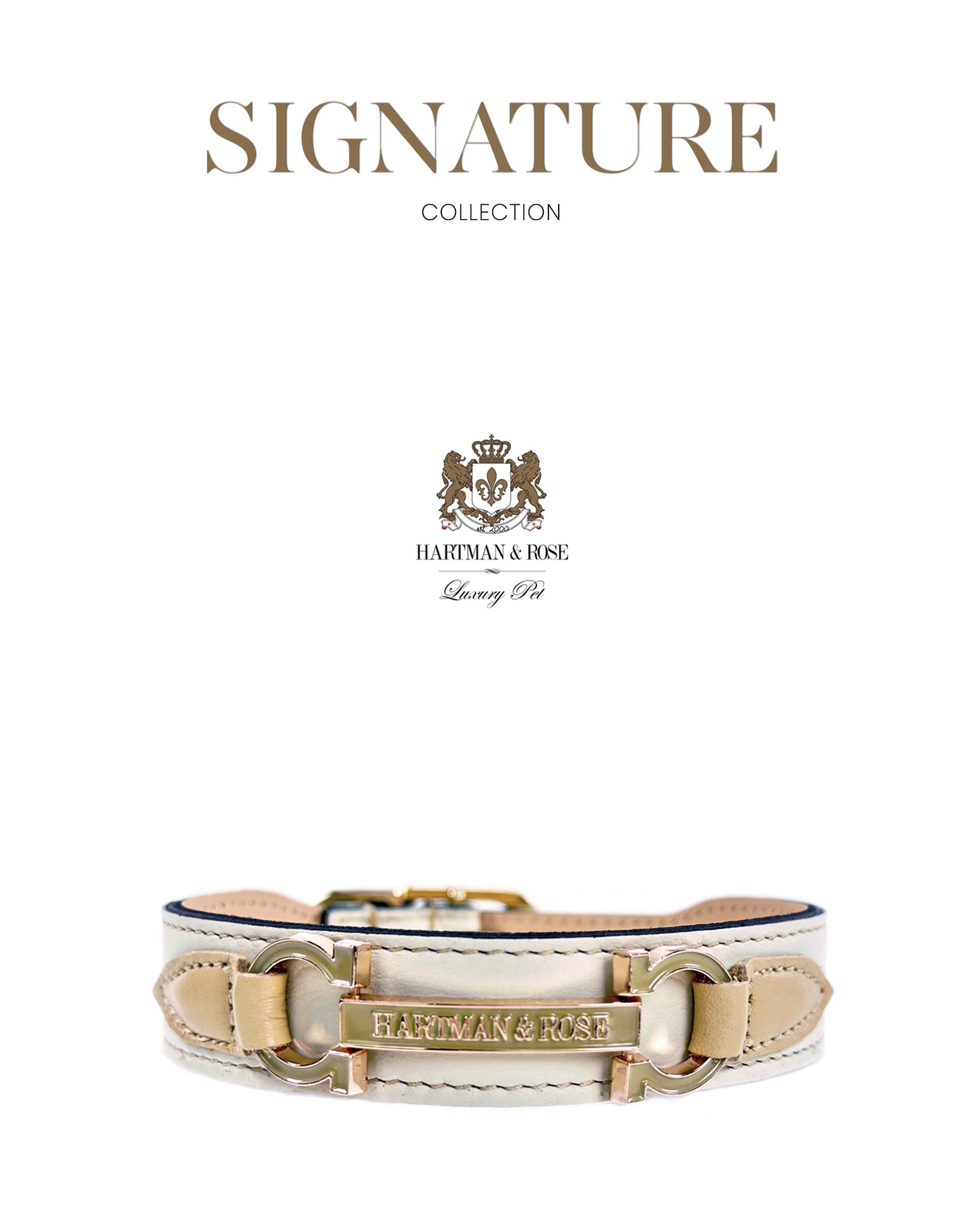 Люксовий нашийник Hartman & Rose Eggshell & Gold — ніжна італійська шкіра та вишукана золота фурнітура